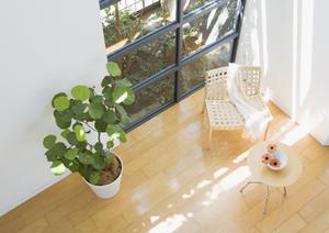 CASBEE評価基準の完全ガイド：持続可能な建築を実現するためのポイントと最新情報