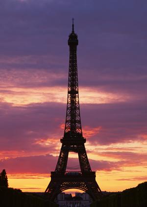 細かな気配りが最大の魅力の不動産屋