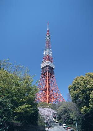 古民家を取り扱っている不動産会社